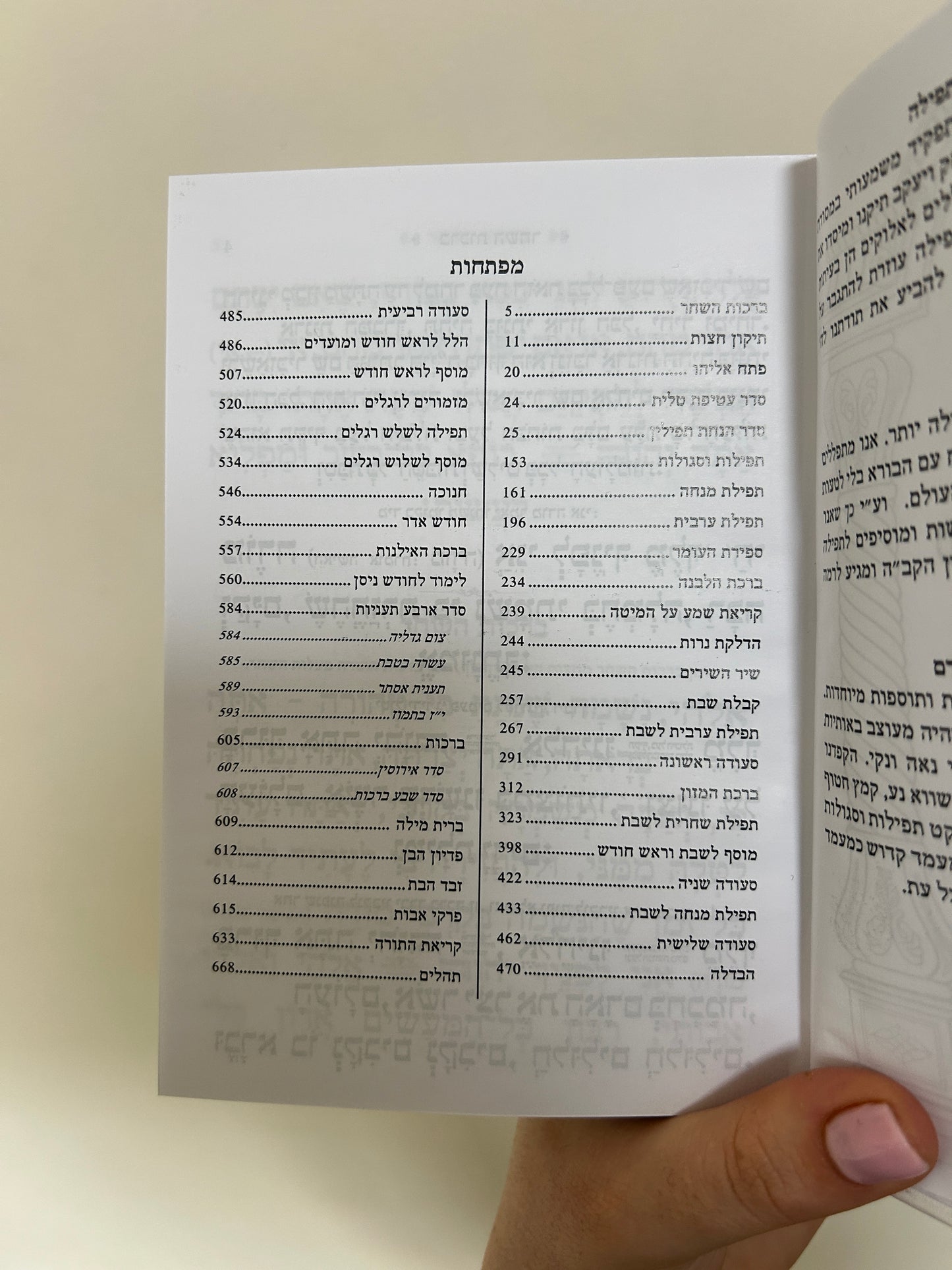סידור צ׳ארמס כתר-לבן זהב