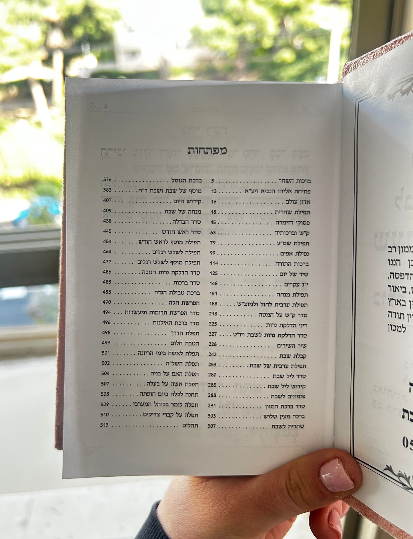סידור מהודר לבת ישראל צבע ורוד האש שלי