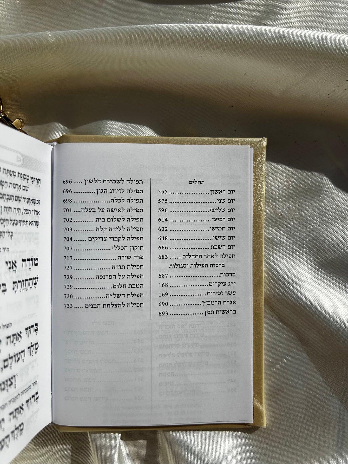 סידור כיס מגנט -צבע קרם