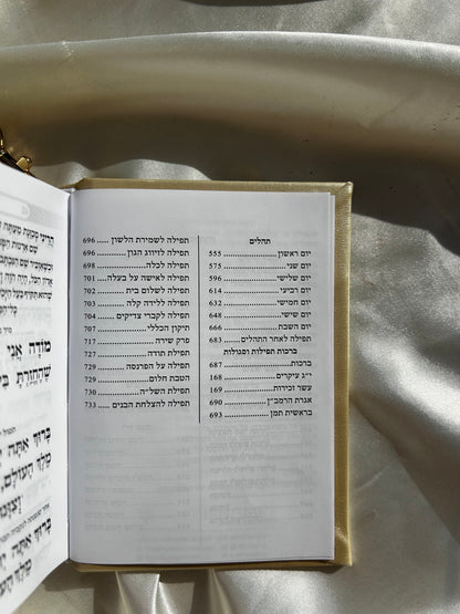 סידור כיס מגנט -צבע קרם