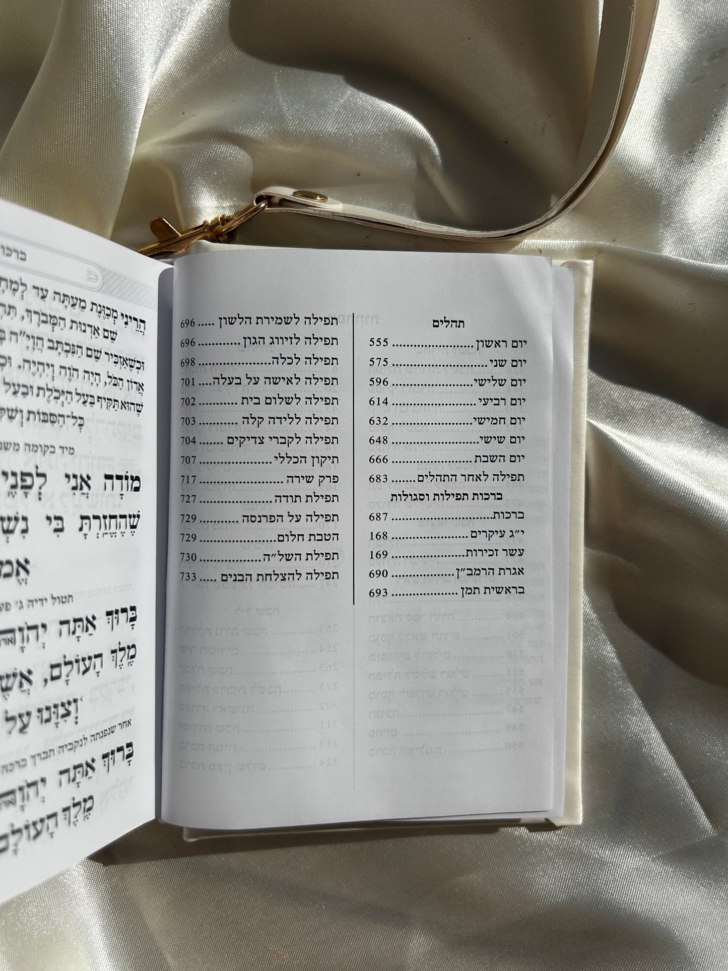 סידור כיס מגנט -צבע פנינה