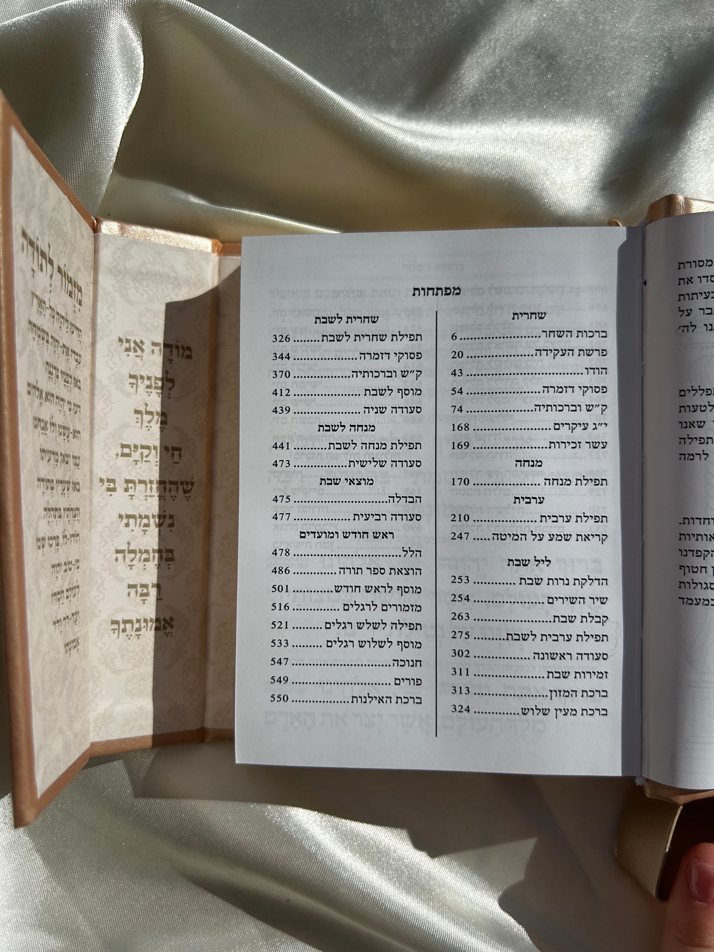 סידור כיס מגנט -צבע ניוד