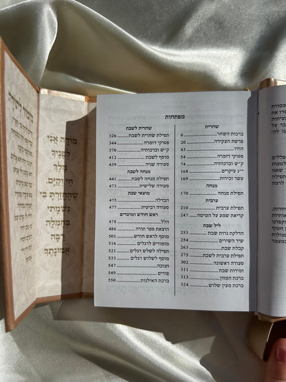 סידור כיס מגנט -צבע ניוד