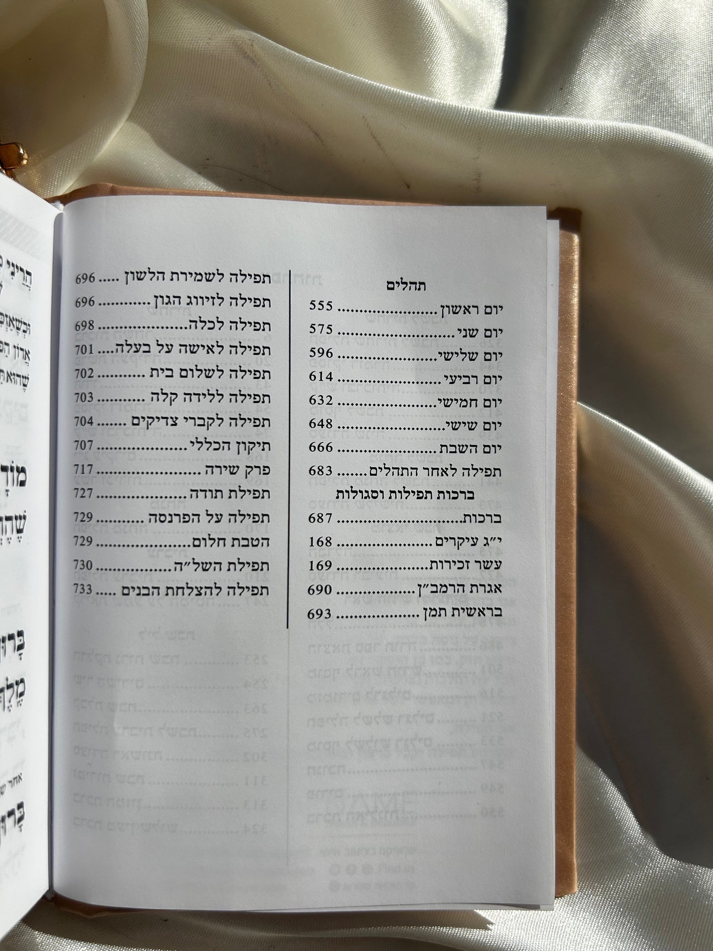 סידור כיס מגנט -צבע ניוד