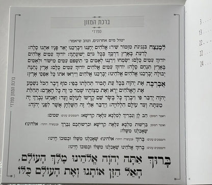 ברכת המזון דמוי עור צבע ורוד